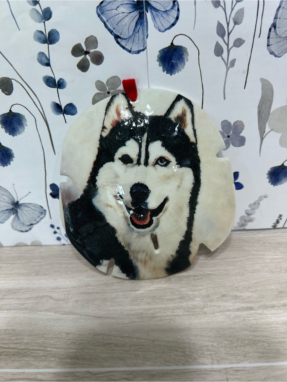 Siberian Husky Dog Sand Dollar Ornament Coastal Decor